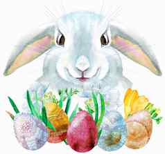 水彩插图米色兔子鸡蛋草