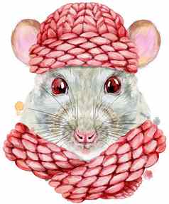 水彩肖像白色老鼠粉红色的针织他