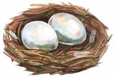 手画水彩艺术鸟巢鸡蛋复活节设计