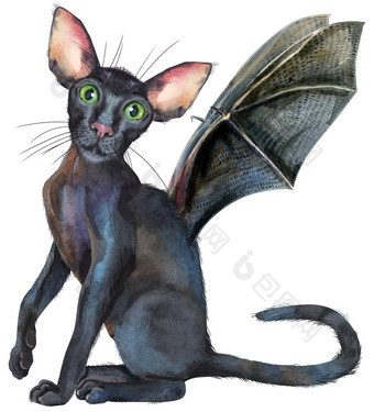 水彩东方黑色的猫蝙蝠翅膀绘画动物插图