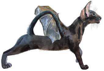 水彩东方黑色的猫<strong>蝙蝠翅膀</strong>绘画动物插图