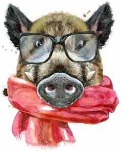 水彩肖像野生野猪眼镜红色的围巾