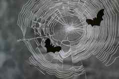 黑色的蝙蝠背景白色蜘蛛网万圣节晚上
