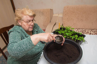 上了年纪的女人铲子堆肥盆地幼苗能
