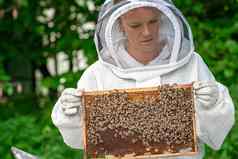 女人蜡框架蜜蜂养蜂