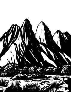 器官mountains-desert山峰国家纪念碑这些难题墨西哥美国水渍险黑色的白色艺术