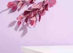 化妆品产品广告站紫色的叶子概念场景阶段展示产品促销活动出售演讲化妆品产品最小的展示