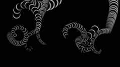 插图设计章鱼触角黑色的背景