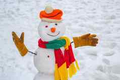 雪人雪一天雪人围巾他问候雪人快乐圣诞节快乐假期雪人雪森林