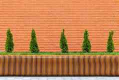 行小锥形图亚树前面红色的砖墙参数胶合板板凳上