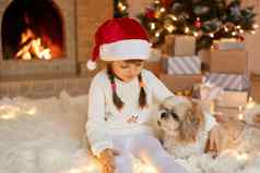 女孩孩子庆祝圣诞节北京人的狗首页圣诞节树坐着地板上拥抱宠物加兰的灯孩子穿白色跳投圣诞老人他