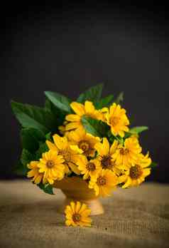 花束美丽的黄色的雏菊黑色的背景