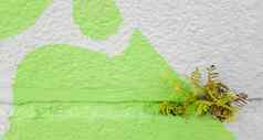绿色草灰色的混凝土墙背景不均匀墙表面草背景图像灰色的混凝土墙草地板上纹理背景设计