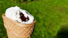 咬冰奶油华夫格杯巧克力填充咬白色冰奶油焦糖背景绿色草夏天