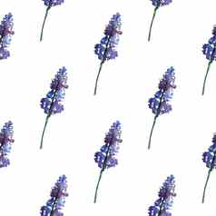 古董花无缝的模式紫罗兰色的花叶打印纺织壁纸没完没了的手绘水彩元素美花束叶子绿色白色背景