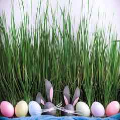 可爱的有创意的照片复活节鸡蛋鸡蛋复活节兔子