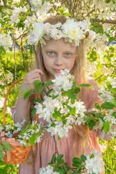 女孩嗅探美丽的白色苹果树春天中间开花苹果树美丽的花园头发公园人自然美树模型开花盛开的可爱的女人草地化妆新鲜的