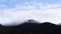 秋天雨雾山山有雾的秋天森林覆盖低云乌克兰云杉森林树山山坚持早....雾秋天风景