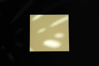 单的名片复制空间黑色的背景照片影子