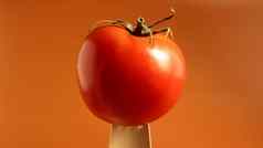 单美味的红色的番茄木叉的想法问题食物开放空间多汁的multi-nested浆果年度常年草蔬菜文化