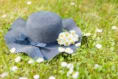 蓝色的他说谎绿色草小雏菊花束花束草地野生花浪漫的照片可爱的夏天时间假期概念