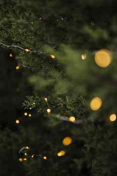 圣诞节装饰美丽的树灯