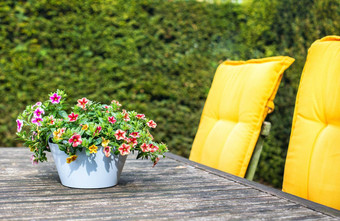 舒适的绿色花园的地方椅子黄色的枕头花盆表格木<strong>家具现代</strong>风格装饰可爱的首页