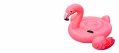 游泳池玩具形状粉红色的火烈鸟孤立的白色