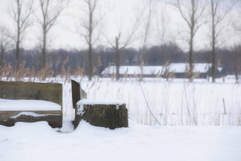 公园板凳上树覆盖新鲜的雪冬天景观色彩斑斓的自然