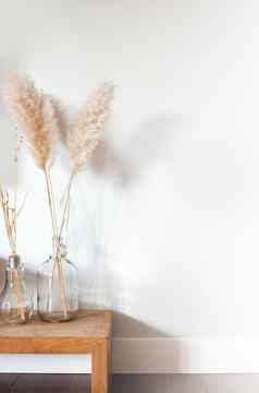 干彭巴斯草原草玻璃花瓶木表格白色背景现代明亮的装饰首页室内复制空间