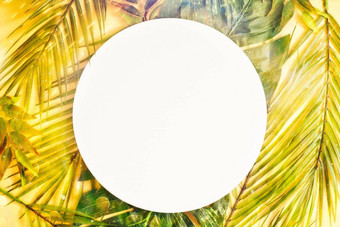 最小的夏天概念棕榈树叶有创意的Copyspace纸框架色彩斑斓的春天背景纸卡请注意