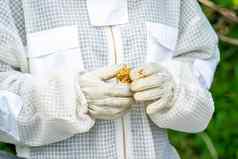 蜂蜡手养蜂人保护西装