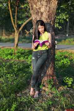 女人在树阅读书公园