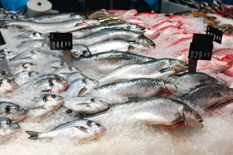 新鲜的鱼各种各样的冰计数器超市