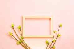 精致的叶子开放味蕾branches-sprouts粉红色的背景春天开始生活温柔复制空间框架