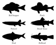 北美国食物鱼