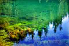 绿色莫斯花园水下黄金湖斯诺夸尔姆通过华盛顿