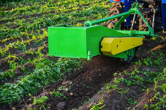 过程挖掘作物土豆收获土豆早期春天农业农田农业行业农业综合企业收获机械化发展中国家
