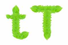 英语字母使绿色树叶