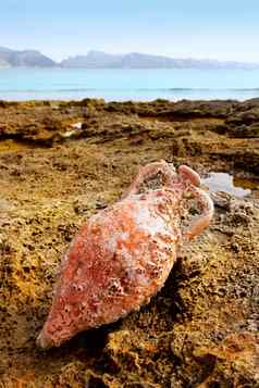 双耳瓶罗马海洋污染地中海