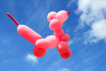 气球贵宾犬狗系数形状飞蓝色的天空