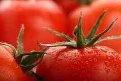 完美的红色的湿西红柿西红柿背景