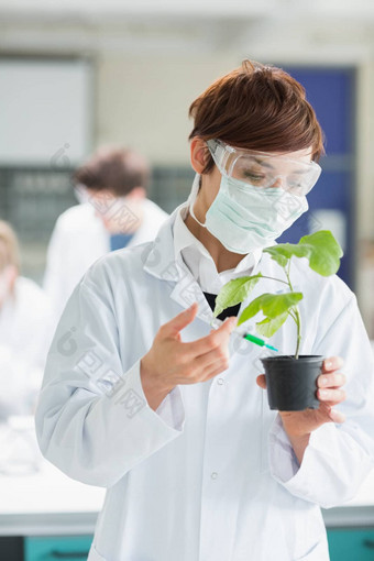 女人站实验室持有植物添加绿色