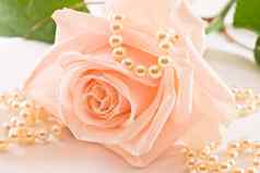 软粉红色的玫瑰珍珠