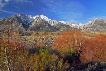 雪封顶山惠特尼峰