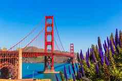 金门桥三旧金山紫色的花加州