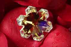 美丽的明星形状玻璃珠宝红色的玫瑰花瓣