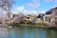 《京都议定书》住宅区