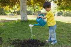 年轻的男孩浇水年轻的植物公园