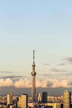 东京城市空间日落视图